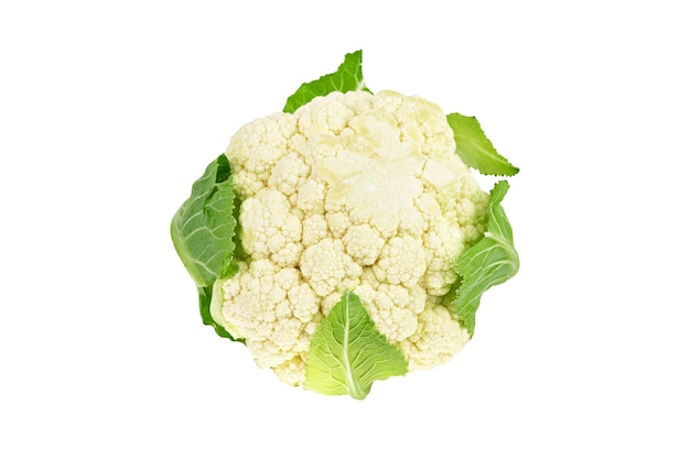 Fresh organic cauliflower zucchini squash vegetable isolated on white