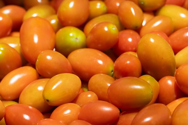 Fresh organic cherry tomatoes after harvest in gardenxA