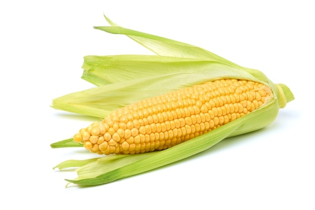 Fresh organic corn cob isolated