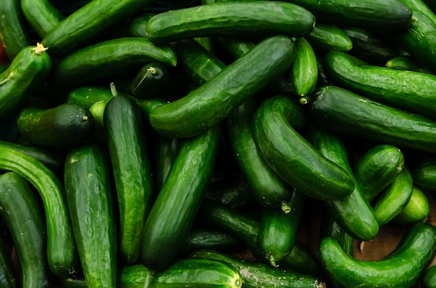 Fresh organic cucumbers sold on market