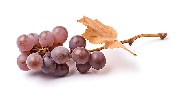 Fresh organic dry grape fruits transparent png background fresh fruits png