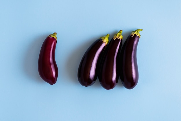 Fresh organic eggplants top view on blue table