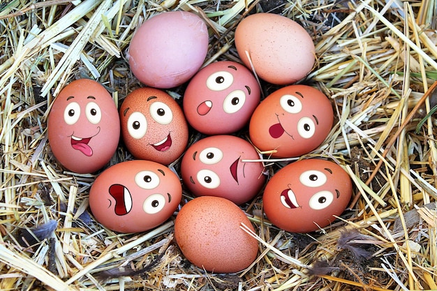 fresh organic eggs with different face expressions happy easter concept