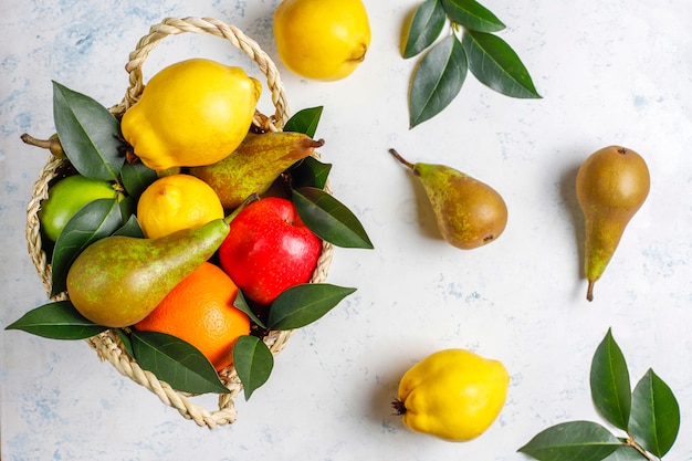 Fresh organic farm fruits,pears,quince,top view