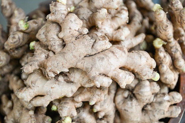 Fresh organic ginger on fresh market in thailand fresh ginger plant farm harvest ginger root on field agricultural for sold in the market