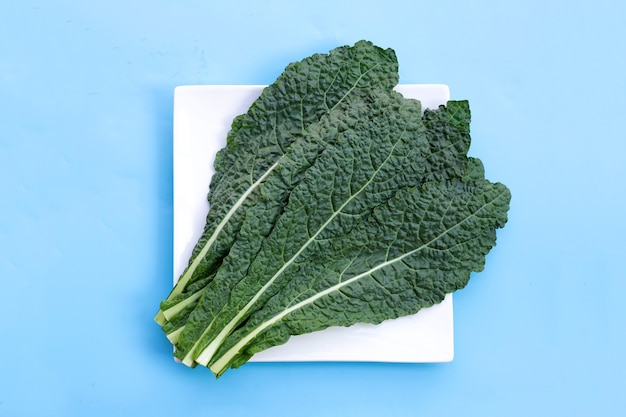 Fresh organic green kale leaves on blue.