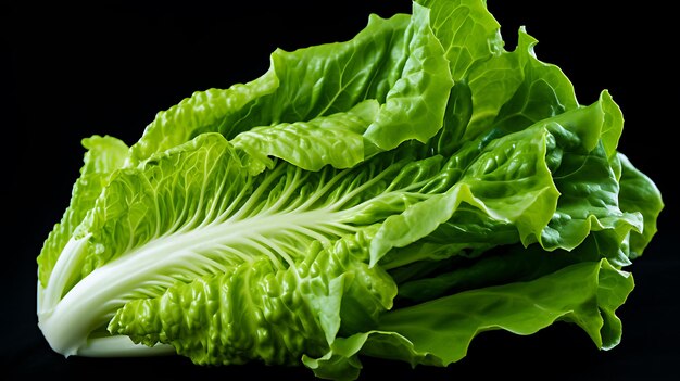 Fresh organic green lettuce leaf on black background