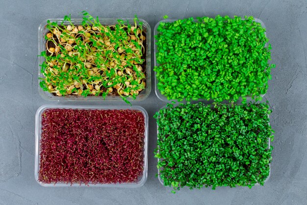 Photo fresh organic microgreens in a plastic container on a gray concrete background micro greens vegan and healthy food concept