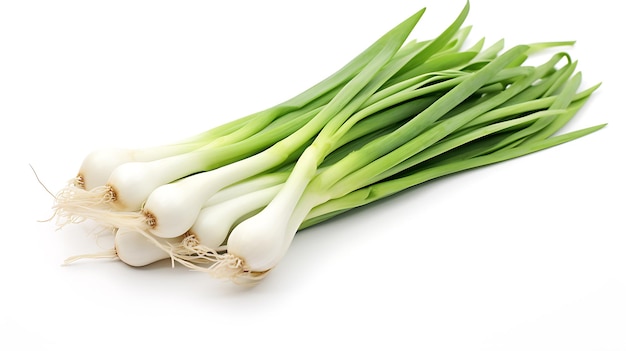 Fresh organic onions on white background