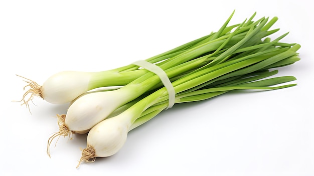 Fresh organic onions on white background