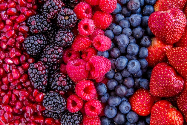 Fresh organic pomegranate seeds blackberries raspberries blueberries and strawberries in lines next to each other