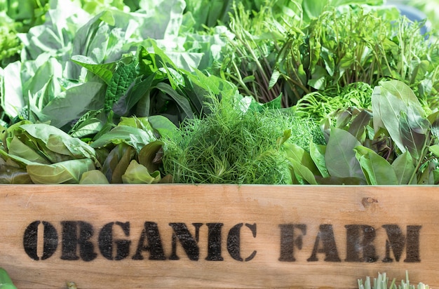 Fresh organic produce in wooden box