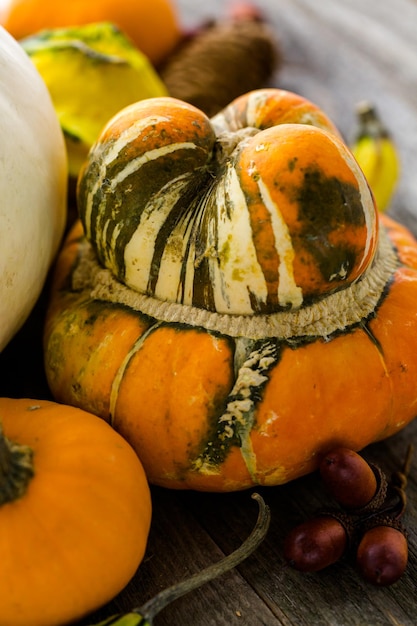 Fresh organic pumpkins from the local farmers market.