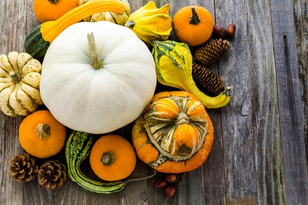 Fresh organic pumpkins from the local farmers market.