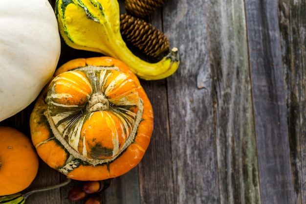 Fresh organic pumpkins from the local farmers market.