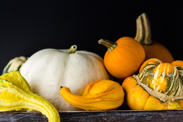 Fresh organic pumpkins from the local farmers market.