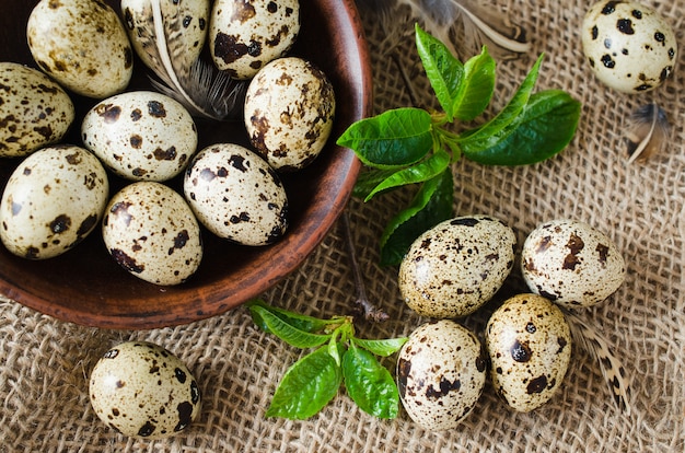 Fresh Organic Quail Eggs and Spring Foliage.