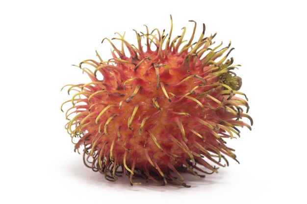 Fresh organic rambutan delicious fruit isolated on white background clipping path