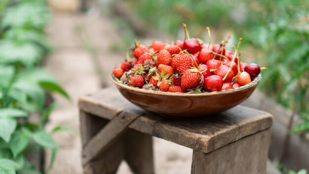 Fresh organic strawberries and cherries collected from the garden