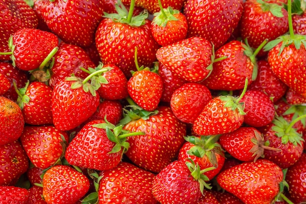 Fresh organic Strawberry fruit background Top view closeup