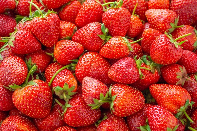 Fresh organic Strawberry fruit background