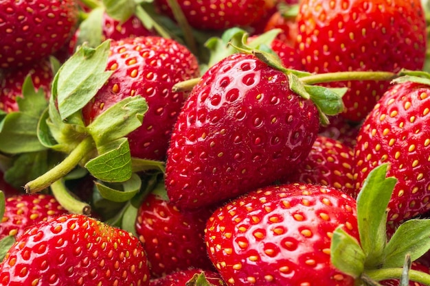 Fresh organic Strawberry fruit background