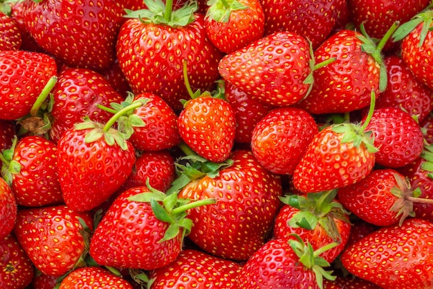 Fresh organic Strawberry fruit background