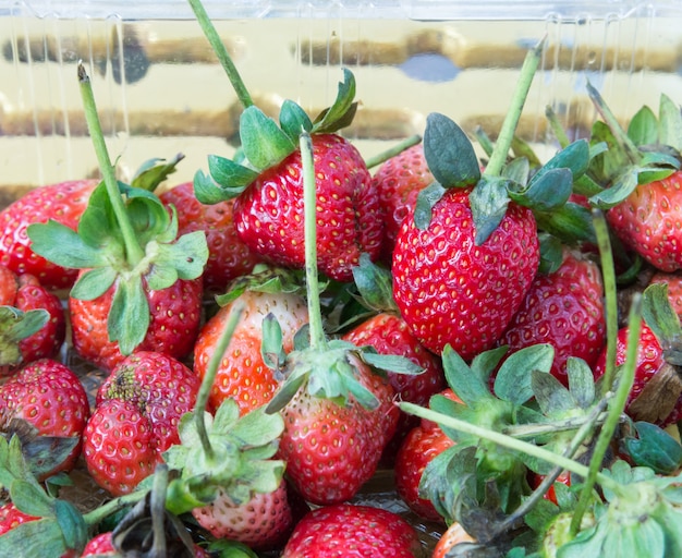 Fresh organic strawberry