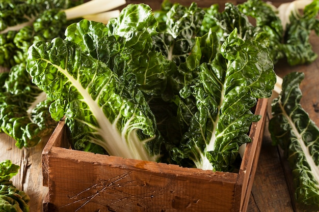 fresh organic vegetables on table