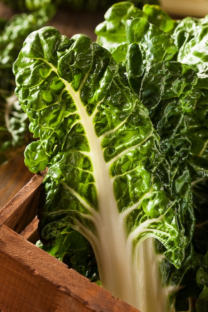 fresh organic vegetables on table