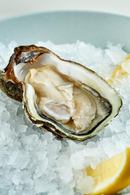 Fresh oyster on ice in a plate Gray background Closeup