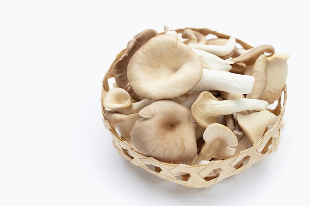 Fresh oyster mushroom in bamboo basket on white background