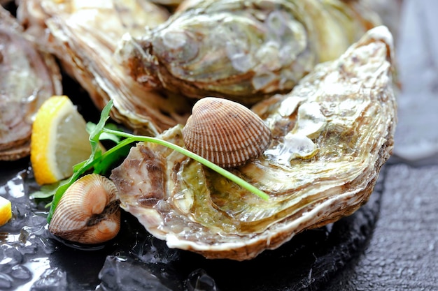 Fresh oysters on ice