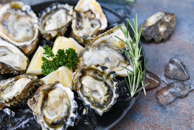 Fresh oysters seafood on a black plate background - Open oyster shell with herb spices lemon rosemary served table and ice healthy sea food raw oyster dinner in the restaurant gourmet food