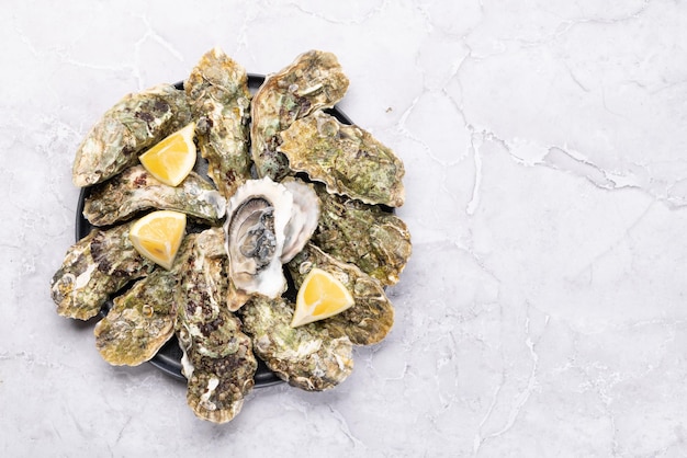 Fresh oysters with lemons