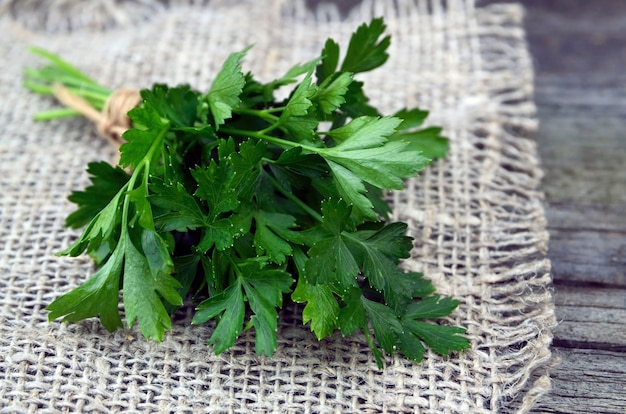 Fresh parsley herb bunch on old wooden table Petroselinum crispum Selective focus