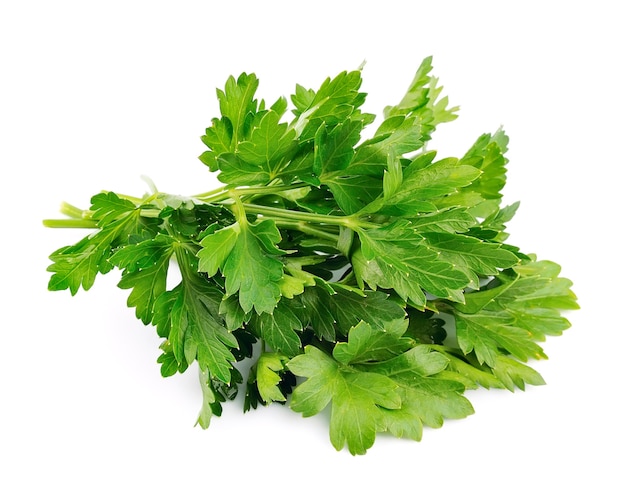 Fresh parsley herb isolated on white