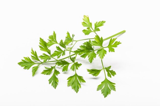 Fresh Parsley isolated