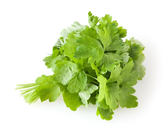 Fresh parsley leaves isolated on white background