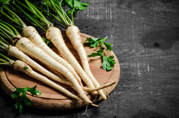 Fresh parsley root Rustic background