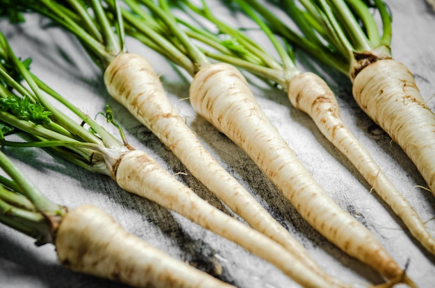 Fresh parsley root Rustic background