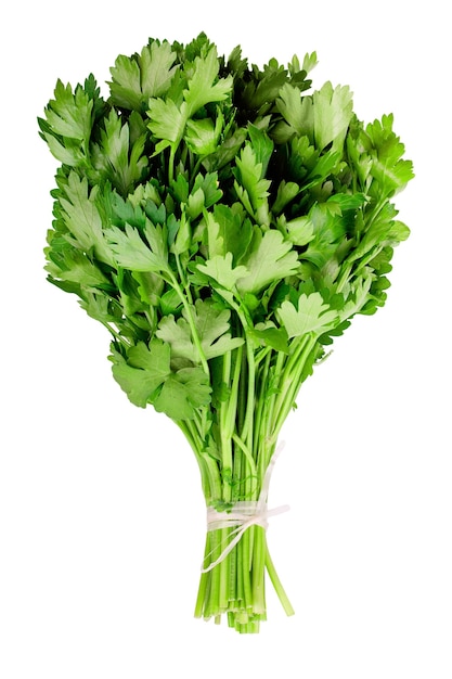 Fresh parsley on white background