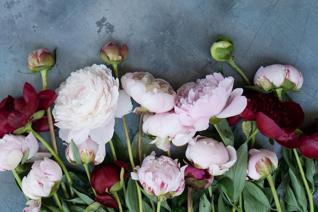 Fresh peonies flowers