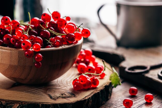 Fresh picked red currants