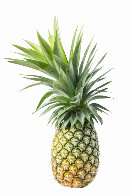 Fresh pineapple isolated on a white background