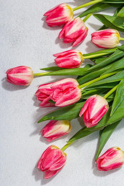 Fresh pink tulips on light stone concrete background Festive concept for Mother's Day or Valentines Day Greeting card Easter flat lay Anniversary or Birthday top view