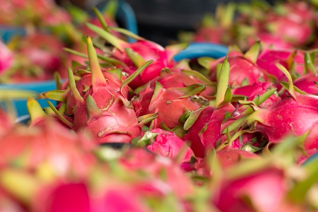 Fresh pitahaya fruit or ripe dragon fruit red color design 