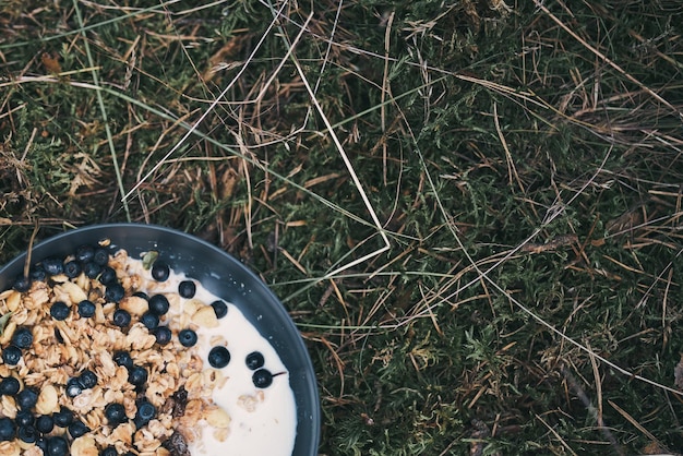 A fresh plate of breakfast with picked berries in the forest Concept of healthy food outdoors