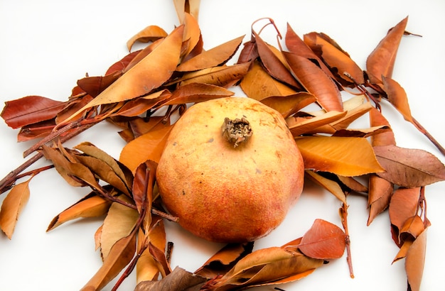 Fresh Pomegranates on background of autumn leaves