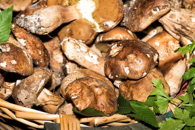 Fresh porcini mushrooms on sale at Market